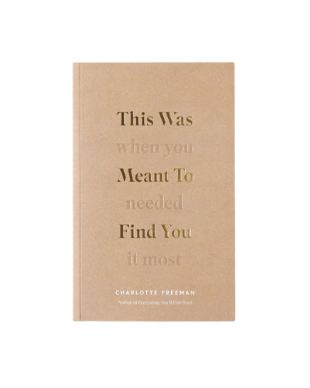 Books / This Was Meant to Find You